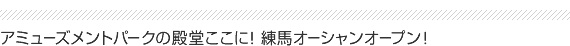 A~[Ygp[N̓aɁInI[VI[vI